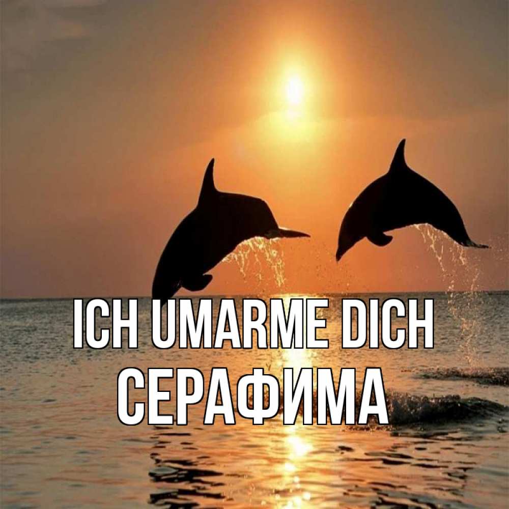 Открытка на каждый день с именем, Серафима Ich umarme dich рыбы на закате Прикольная открытка с пожеланием онлайн скачать бесплатно 