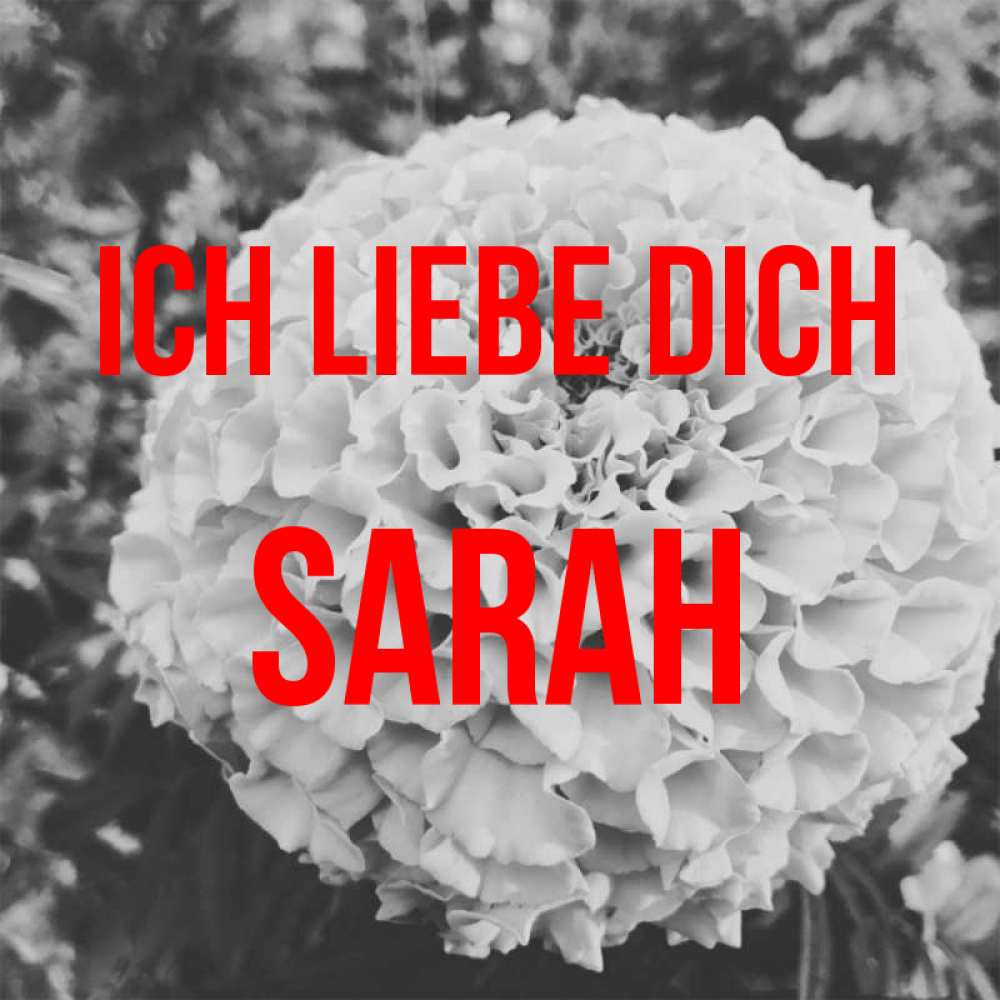 Открытка на каждый день с именем, Sarah Ich liebe dich подпись Прикольная открытка с пожеланием онлайн скачать бесплатно 
