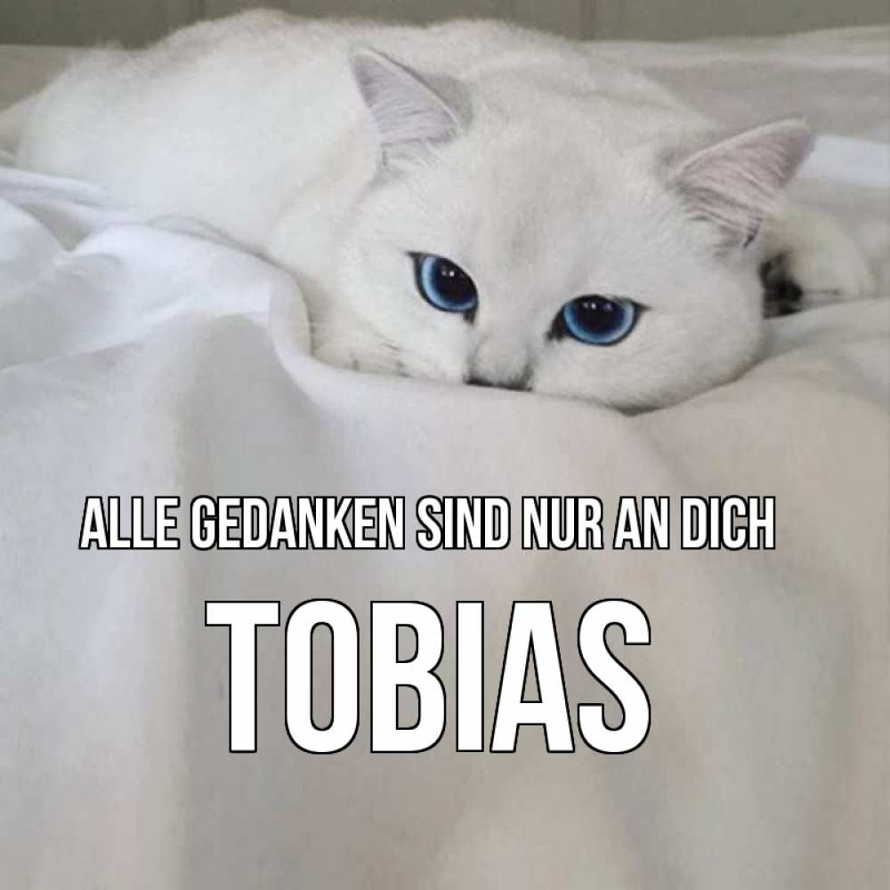 Открытка на каждый день с именем, Tobias Alle Gedanken sind nur an dich я очень по тебе скучаю и тоскую Прикольная открытка с пожеланием онлайн скачать бесплатно 
