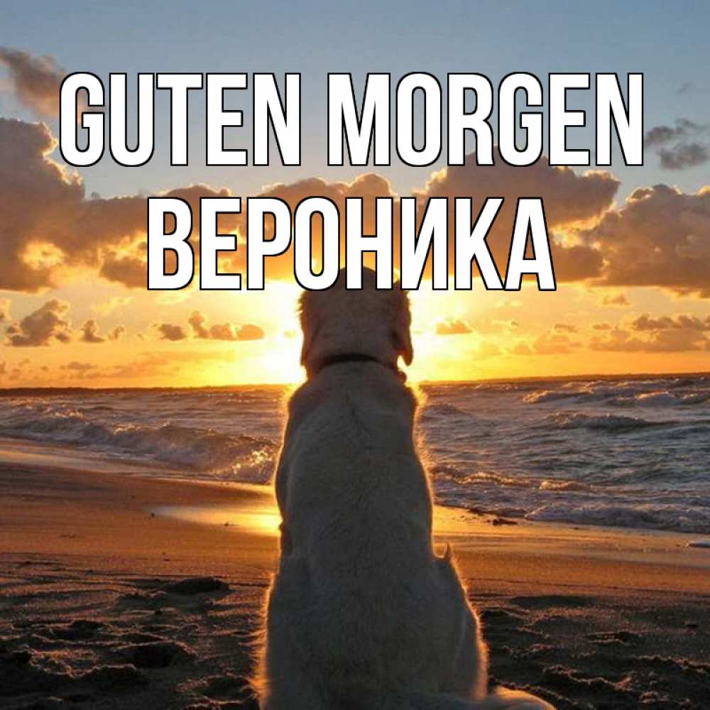 Открытка на каждый день с именем, Вероника Guten Morgen восход солнца Прикольная открытка с пожеланием онлайн скачать бесплатно 