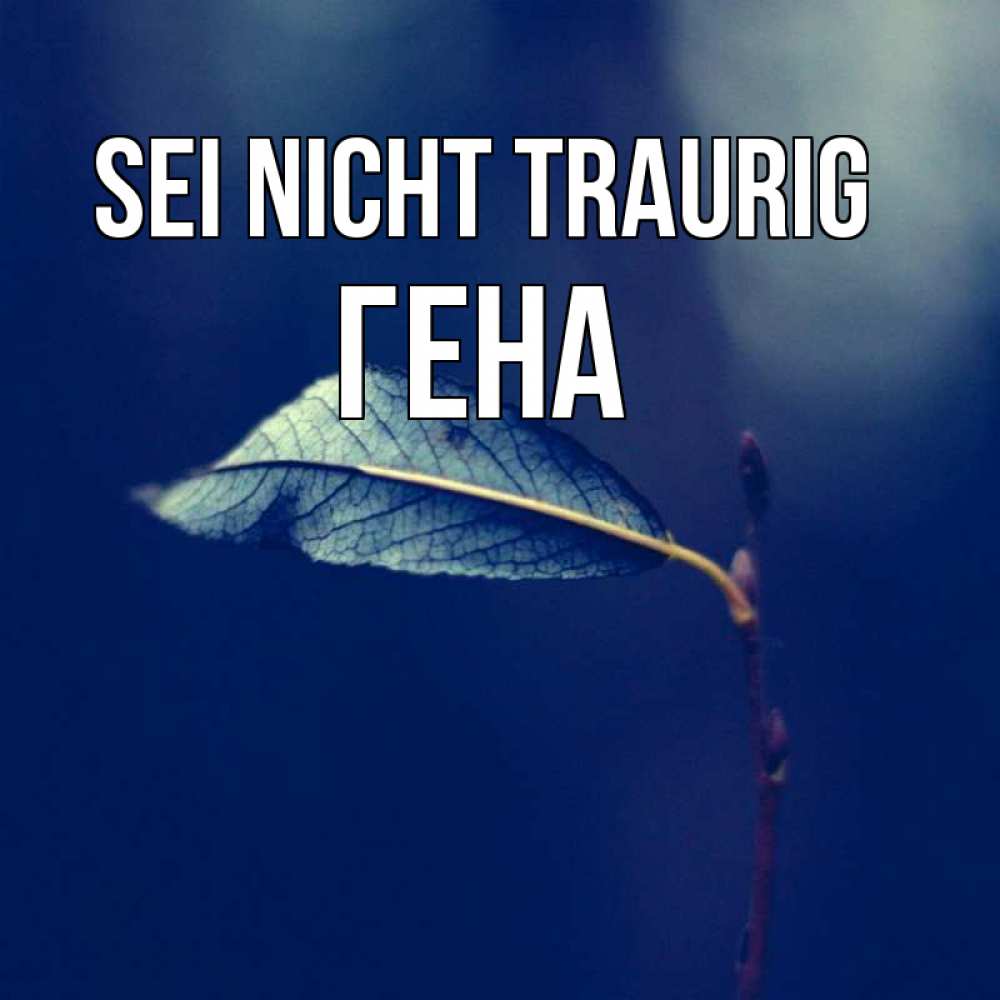 Открытка на каждый день с именем, Гена Sei nicht traurig растение Прикольная открытка с пожеланием онлайн скачать бесплатно 