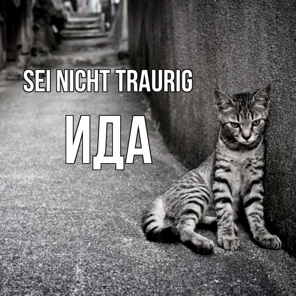 Открытка на каждый день с именем, Ида Sei nicht traurig скучающий котик Прикольная открытка с пожеланием онлайн скачать бесплатно 