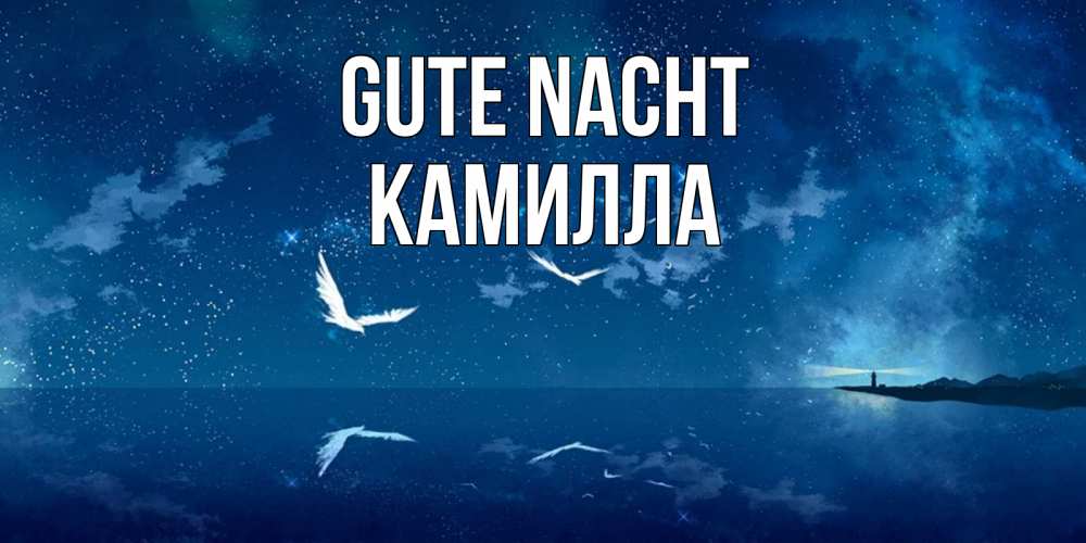 Открытка на каждый день с именем, Камилла Gute Nacht птицы летят на фоне ночного неба Прикольная открытка с пожеланием онлайн скачать бесплатно 