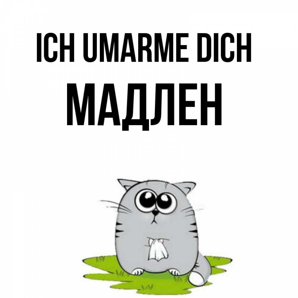 Открытка на каждый день с именем, Мадлен Ich umarme dich котик теребит платочек сидя на травке Прикольная открытка с пожеланием онлайн скачать бесплатно 