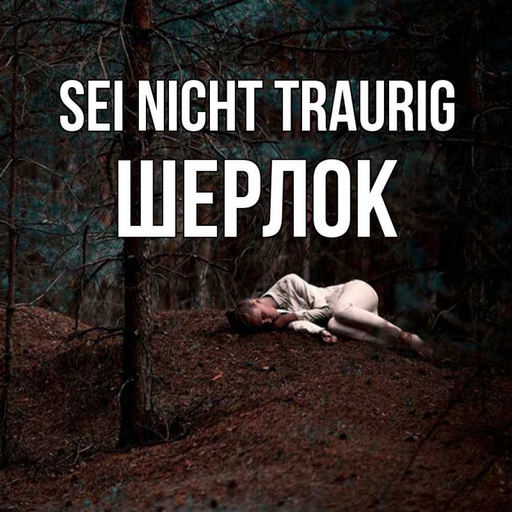 Открытка на каждый день с именем, Шерлок Sei nicht traurig лес Прикольная открытка с пожеланием онлайн скачать бесплатно 