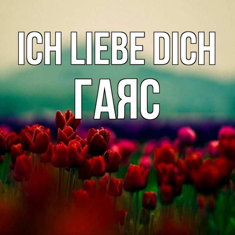 Открытка на каждый день с именем, Гаяс Ich liebe dich тюльпаны 4 Прикольная открытка с пожеланием онлайн скачать бесплатно 