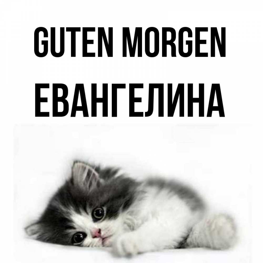 Открытка на каждый день с именем, Евангелина Guten Morgen кот лапки Прикольная открытка с пожеланием онлайн скачать бесплатно 