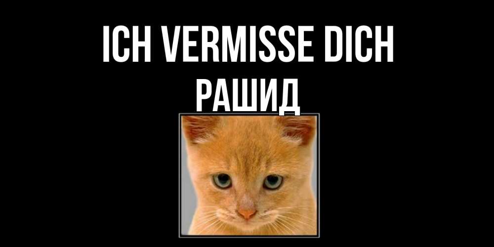 Открытка на каждый день с именем, Рашид Ich vermisse dich открытки рыжий котенок скучает по тебе Прикольная открытка с пожеланием онлайн скачать бесплатно 