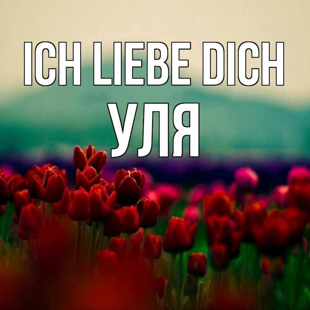 Открытка на каждый день с именем, Уля Ich liebe dich тюльпаны 4 Прикольная открытка с пожеланием онлайн скачать бесплатно 