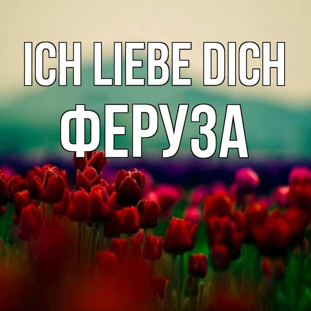 Открытка на каждый день с именем, Феруза Ich liebe dich тюльпаны 4 Прикольная открытка с пожеланием онлайн скачать бесплатно 