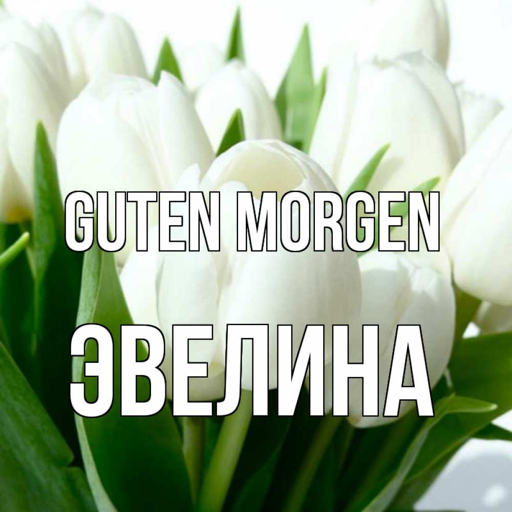 Открытка на каждый день с именем, Эвелина Guten Morgen открытки на каждый день по именам Прикольная открытка с пожеланием онлайн скачать бесплатно 