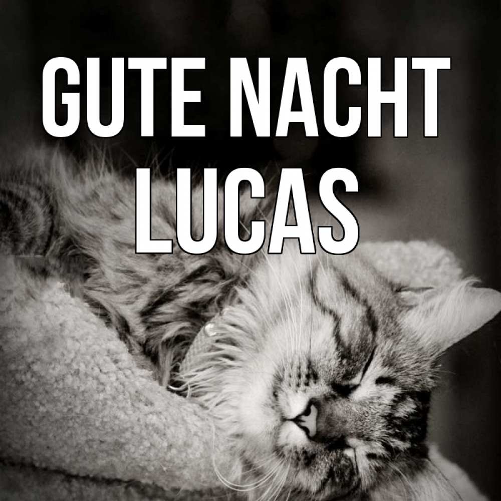 Открытка на каждый день с именем, Lucas Gute Nacht котярик пушистый Прикольная открытка с пожеланием онлайн скачать бесплатно 