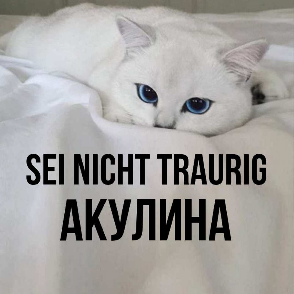 Открытка на каждый день с именем, Акулина Sei nicht traurig Голубоглазая кошка Прикольная открытка с пожеланием онлайн скачать бесплатно 