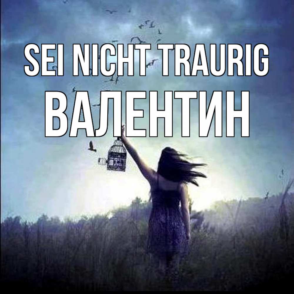 Открытка на каждый день с именем, Валентин Sei nicht traurig на волю Прикольная открытка с пожеланием онлайн скачать бесплатно 