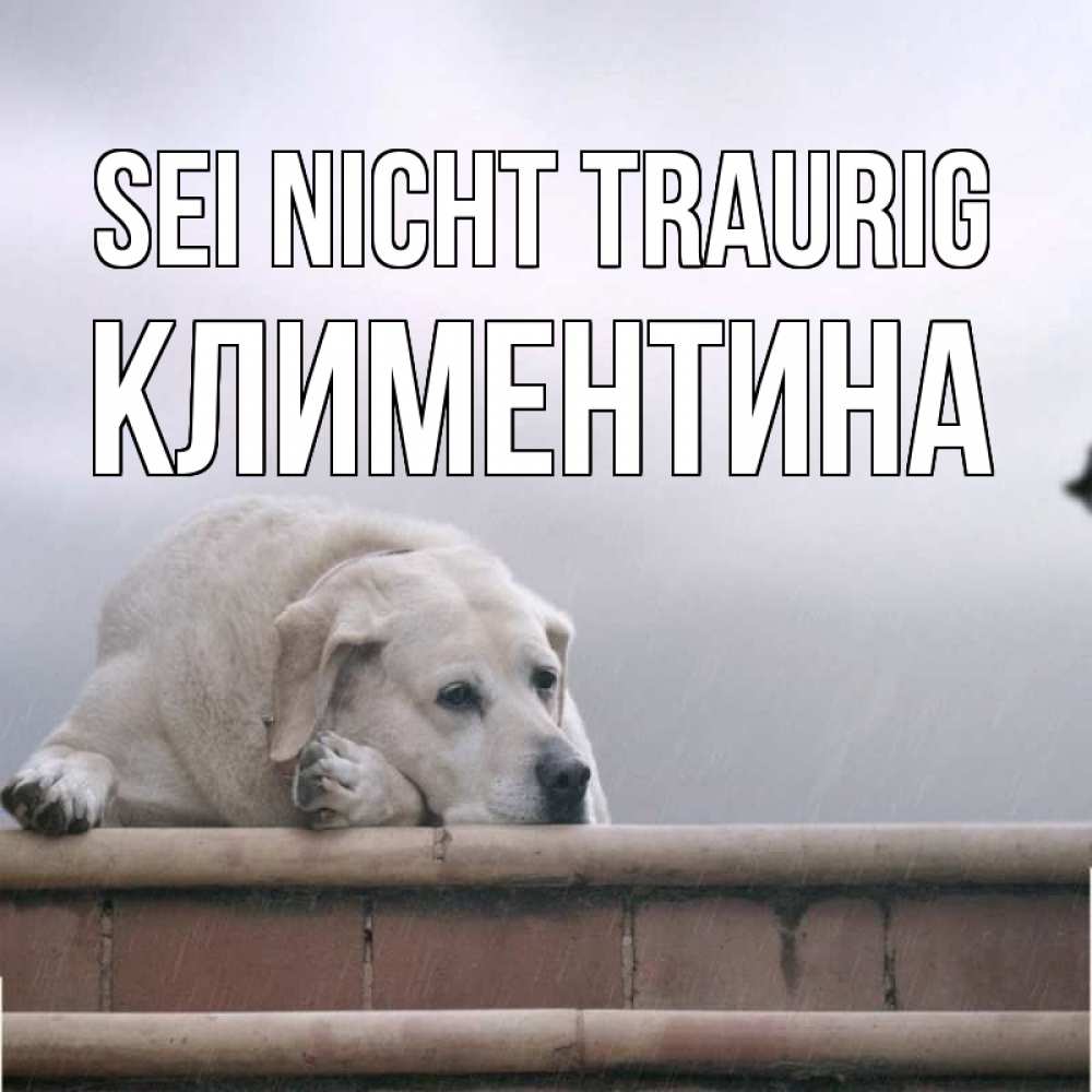 Открытка на каждый день с именем, Климентина Sei nicht traurig белый пес 1 Прикольная открытка с пожеланием онлайн скачать бесплатно 