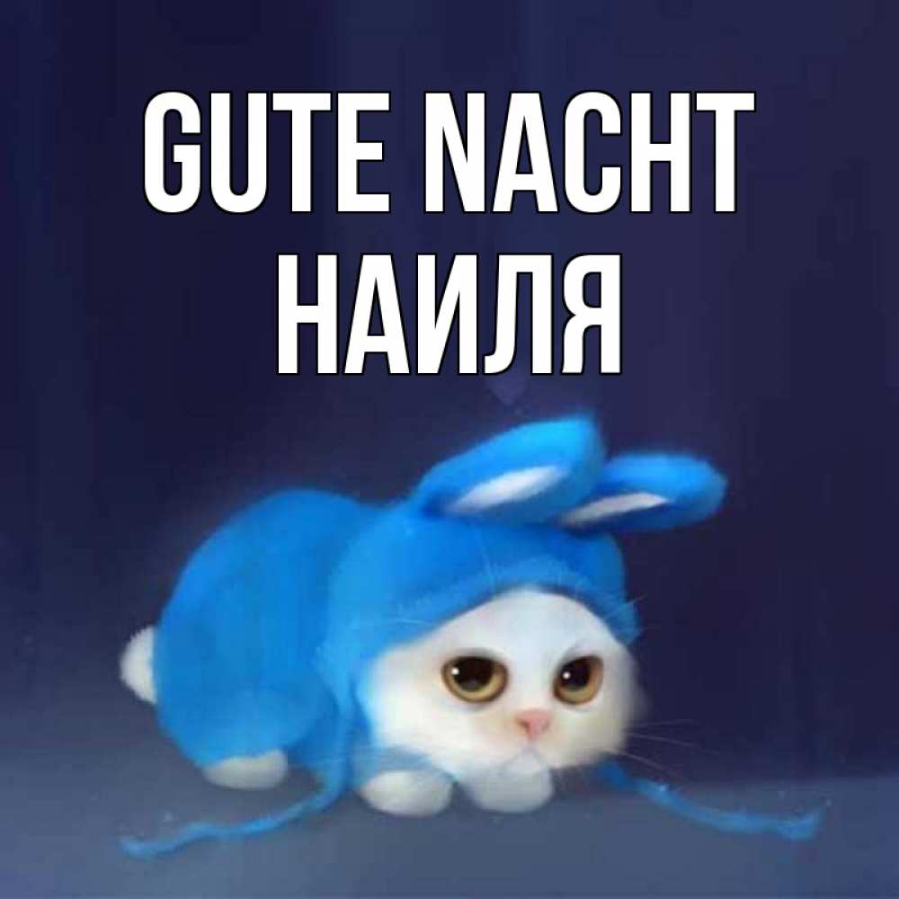 Открытка на каждый день с именем, Наиля Gute Nacht кот в голубом костюме кролика с ушками Прикольная открытка с пожеланием онлайн скачать бесплатно 