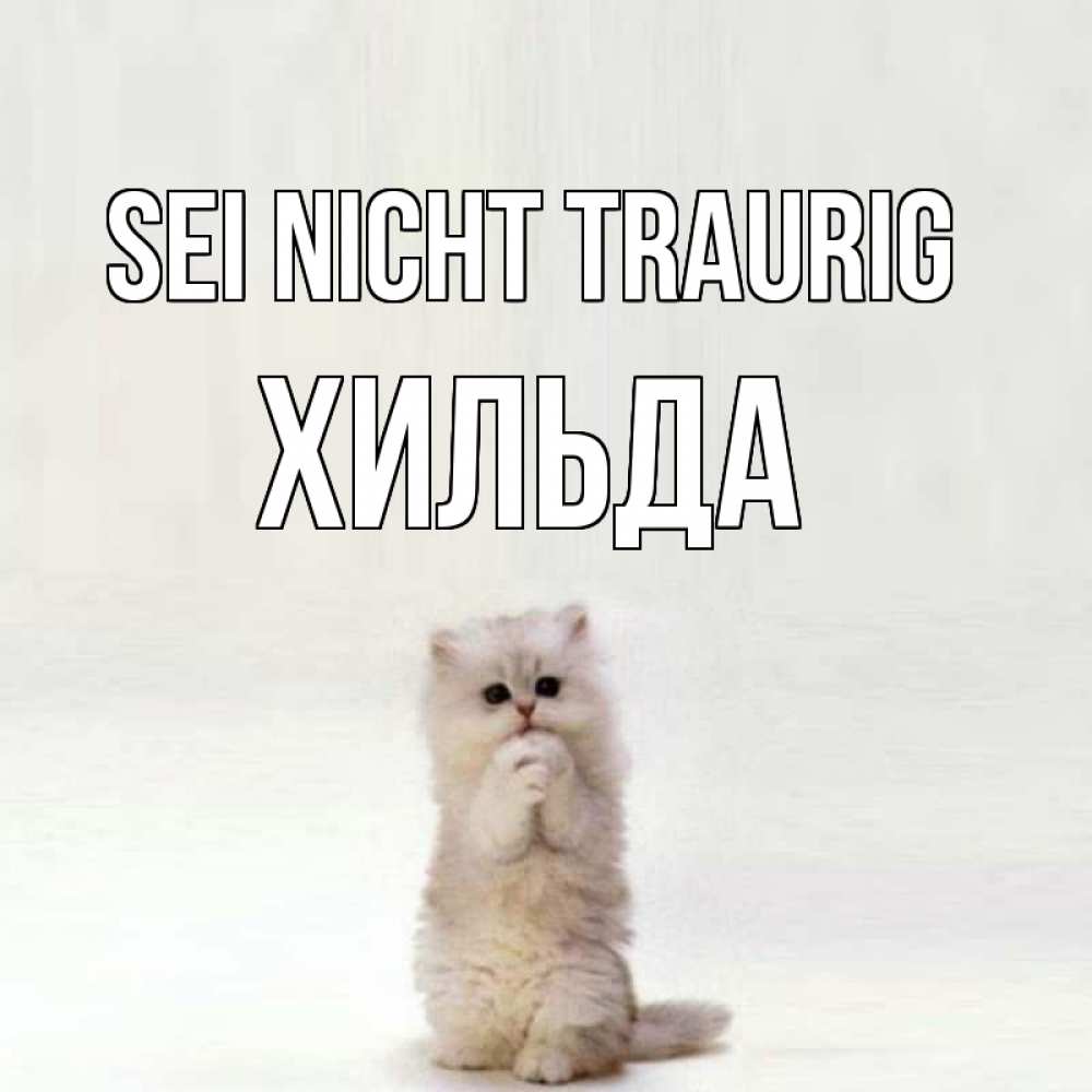 Открытка на каждый день с именем, Хильда Sei nicht traurig грустный кот Прикольная открытка с пожеланием онлайн скачать бесплатно 