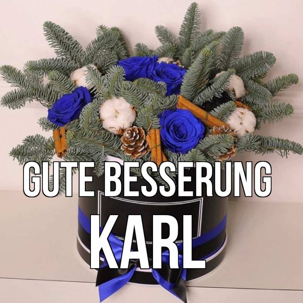 Открытка на каждый день с именем, Karl Gute Besserung короче кто то загрузил эти шишки Прикольная открытка с пожеланием онлайн скачать бесплатно 