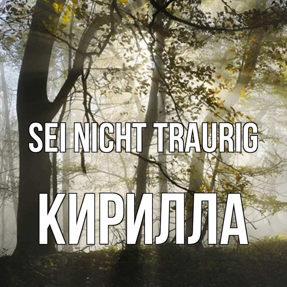 Открытка на каждый день с именем, Кирилла Sei nicht traurig лес и свет Прикольная открытка с пожеланием онлайн скачать бесплатно 