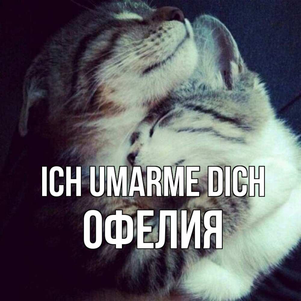Открытка на каждый день с именем, Офелия Ich umarme dich полосатики Прикольная открытка с пожеланием онлайн скачать бесплатно 