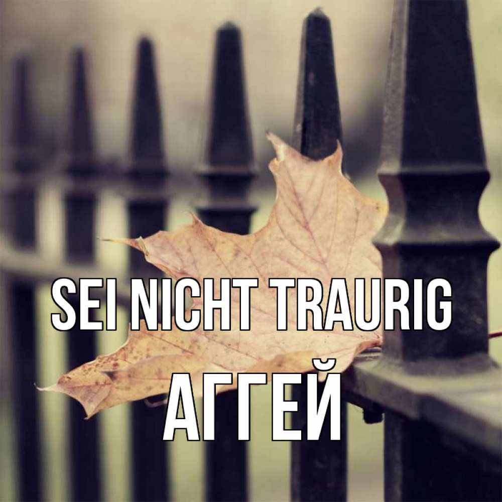 Открытка на каждый день с именем, Аггей Sei nicht traurig лист клена Прикольная открытка с пожеланием онлайн скачать бесплатно 