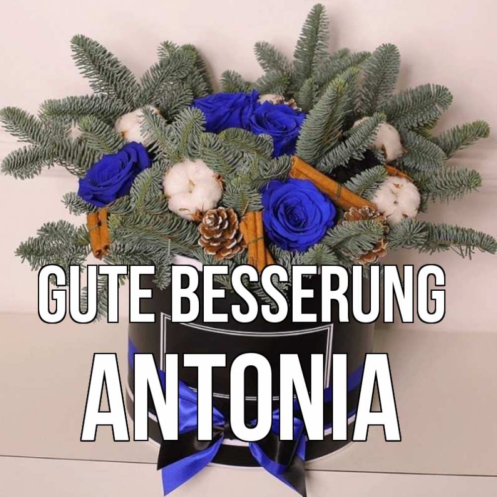 Открытка на каждый день с именем, Antonia Gute Besserung короче кто то загрузил эти шишки Прикольная открытка с пожеланием онлайн скачать бесплатно 