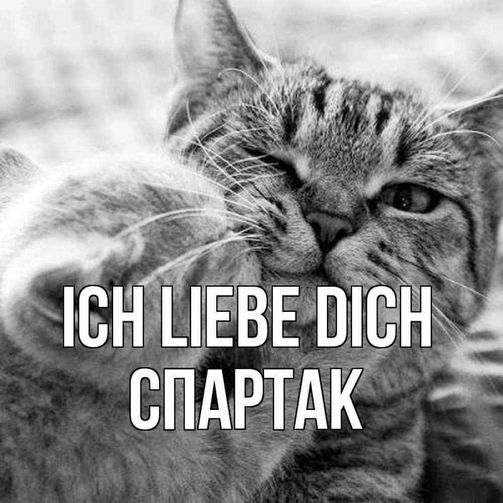 Открытка на каждый день с именем, Спартак Ich liebe dich коты Прикольная открытка с пожеланием онлайн скачать бесплатно 