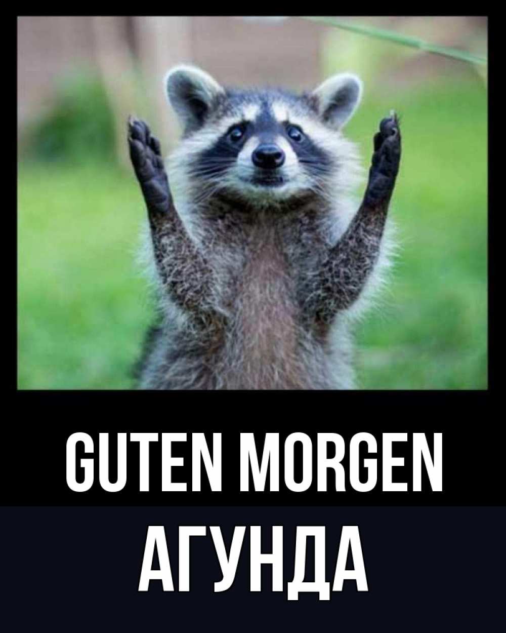Открытка на каждый день с именем, Агунда Guten Morgen хорошее настроение утречком Прикольная открытка с пожеланием онлайн скачать бесплатно 