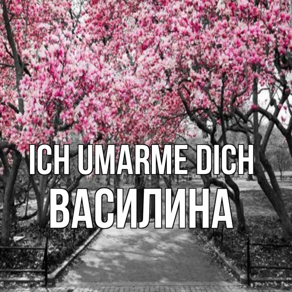 Открытка на каждый день с именем, Василина Ich umarme dich обработанное фото Прикольная открытка с пожеланием онлайн скачать бесплатно 