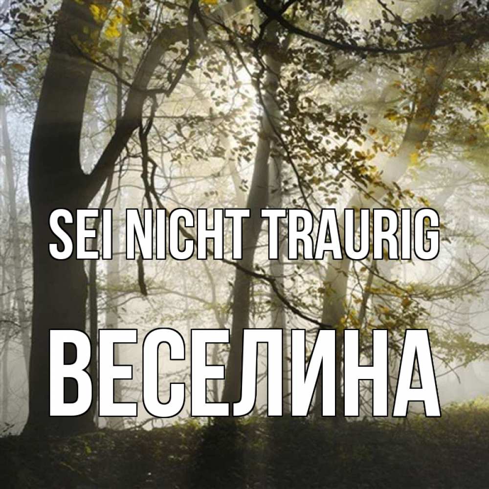 Открытка на каждый день с именем, Веселина Sei nicht traurig лес и свет Прикольная открытка с пожеланием онлайн скачать бесплатно 