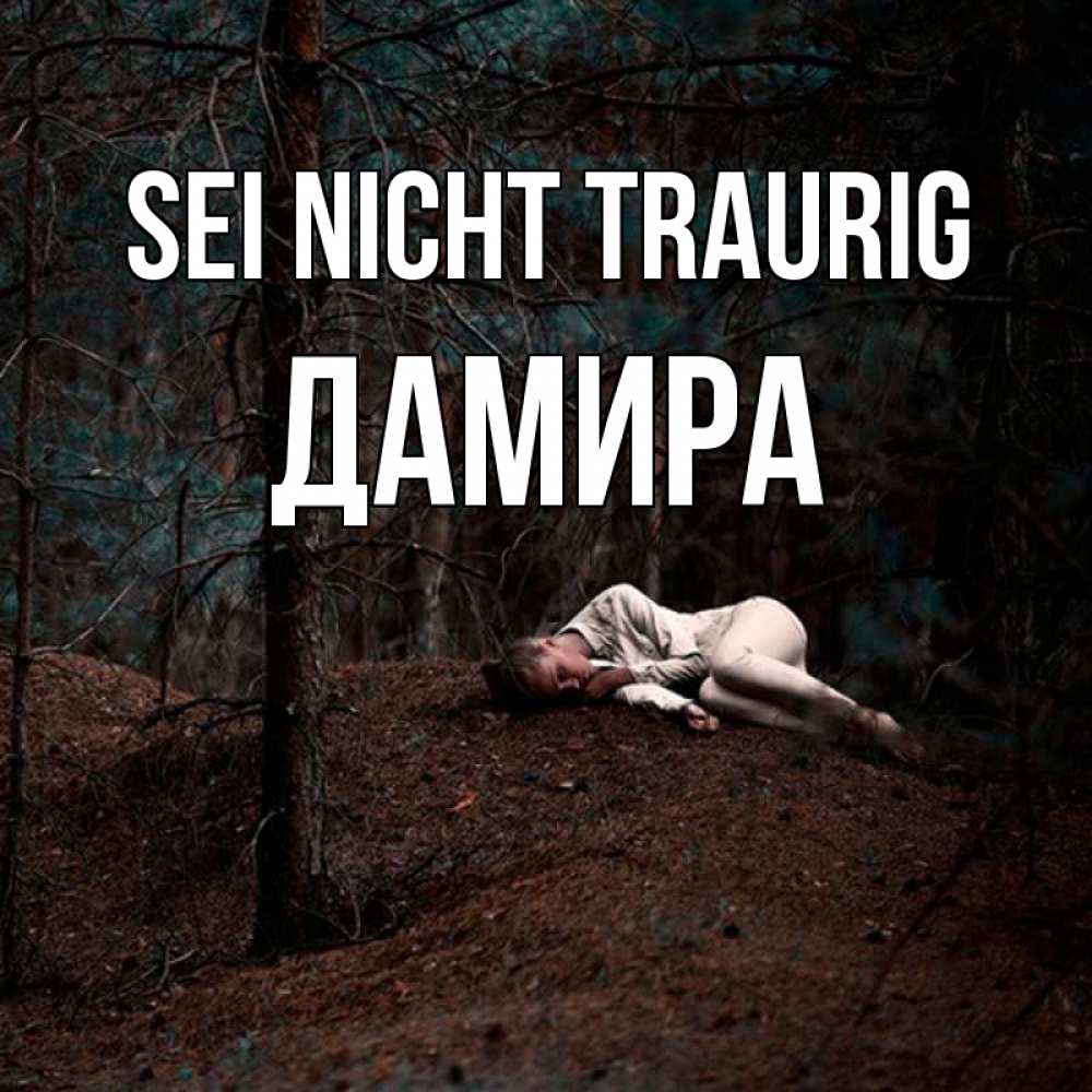 Открытка на каждый день с именем, Дамира Sei nicht traurig лес Прикольная открытка с пожеланием онлайн скачать бесплатно 