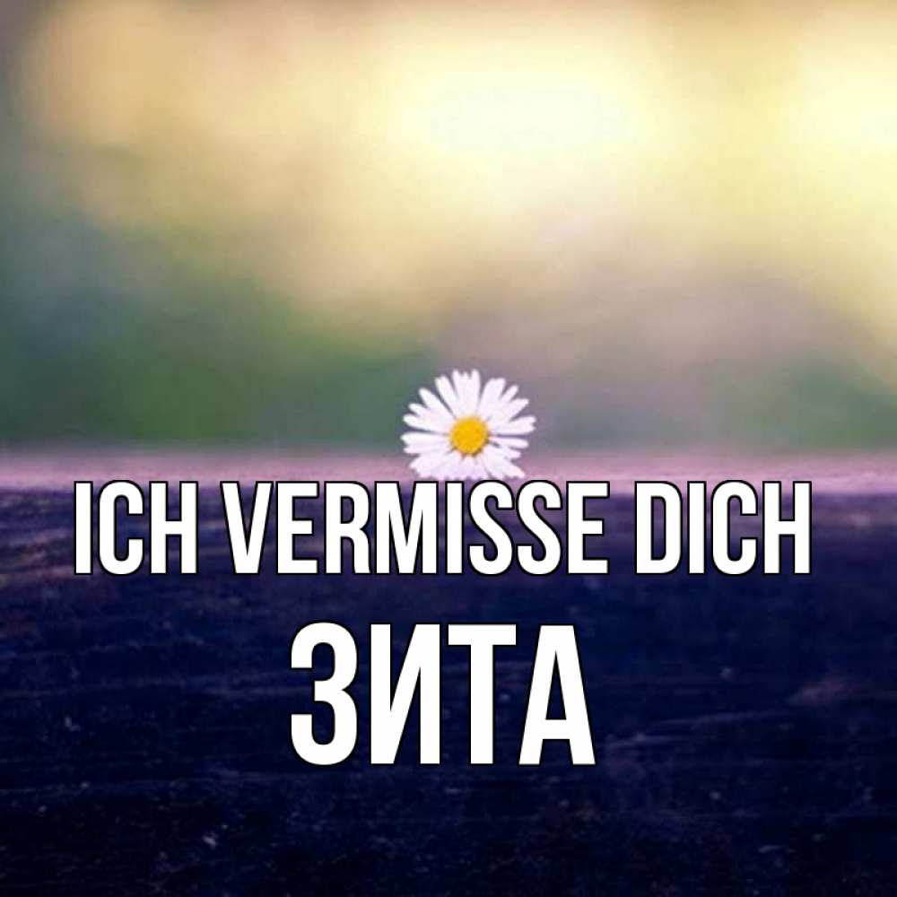 Открытка на каждый день с именем, Зита Ich vermisse dich приходи в гости Прикольная открытка с пожеланием онлайн скачать бесплатно 