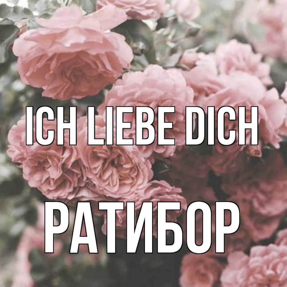 Открытка на каждый день с именем, Ратибор Ich liebe dich розы 3 Прикольная открытка с пожеланием онлайн скачать бесплатно 