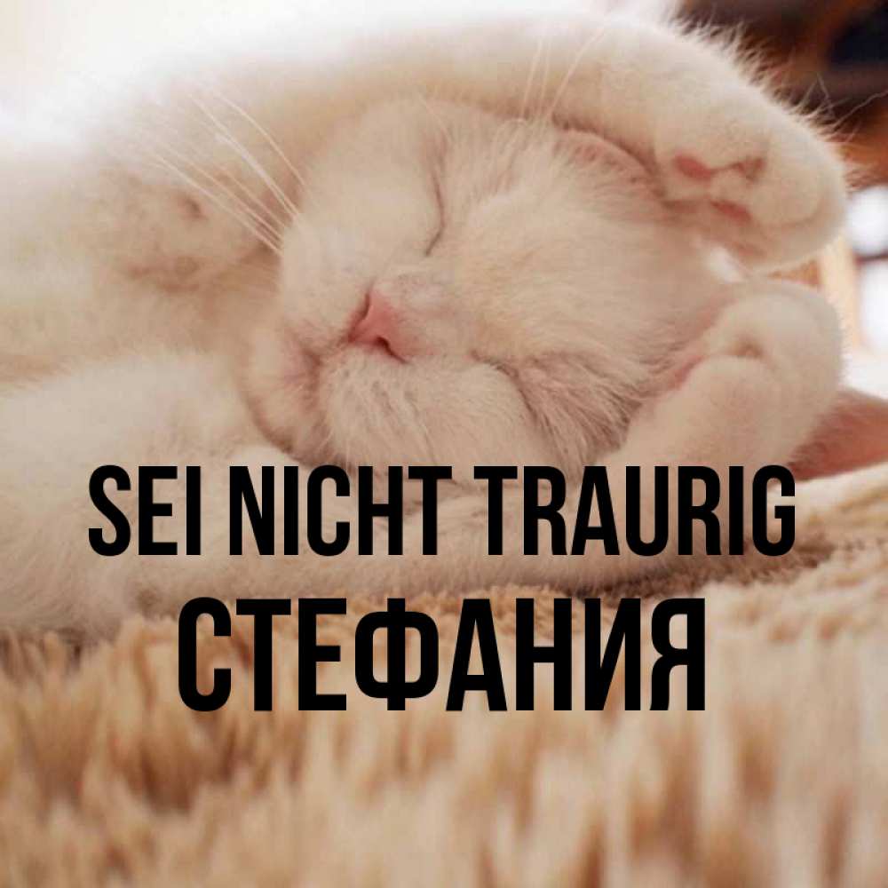 Открытка на каждый день с именем, Стефания Sei nicht traurig Котенок спит Прикольная открытка с пожеланием онлайн скачать бесплатно 