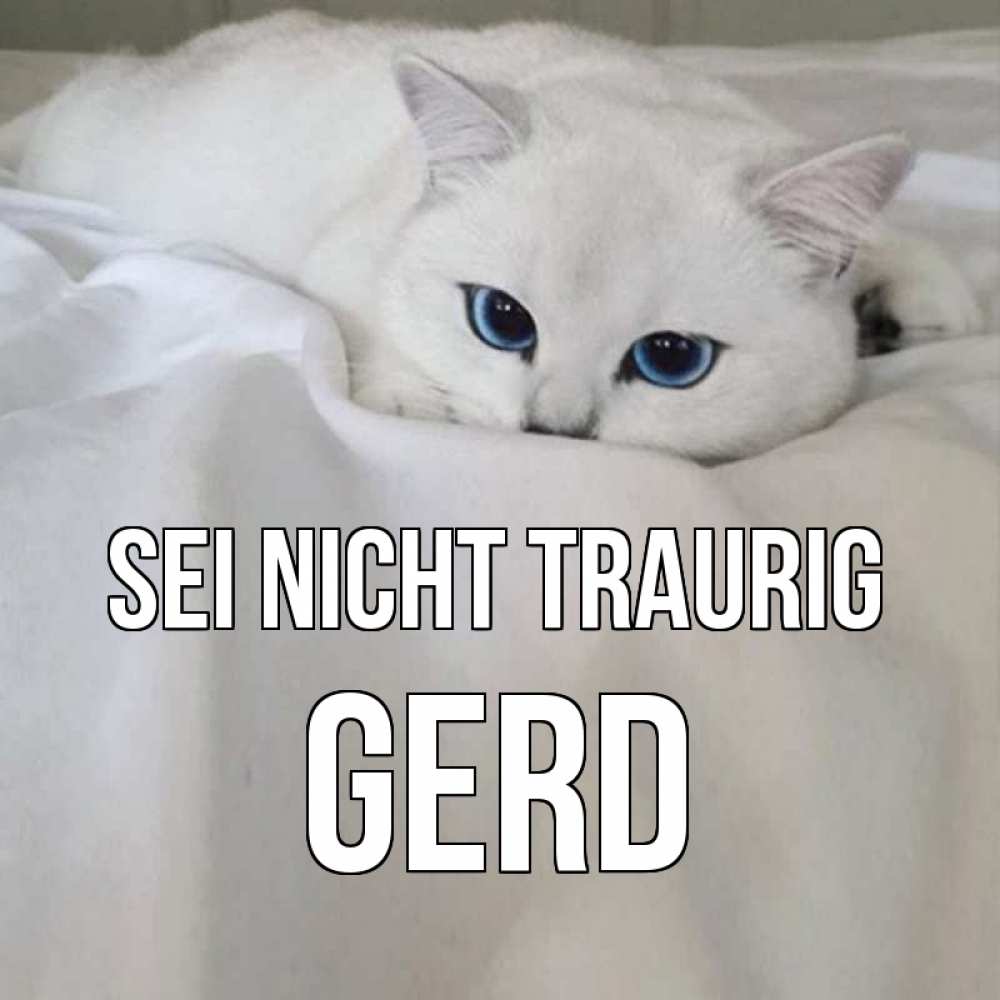 Открытка на каждый день с именем, Gerd Sei nicht traurig белый кот с голубыми глазами на белоснежной кровати Прикольная открытка с пожеланием онлайн скачать бесплатно 