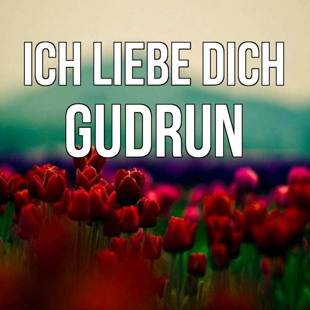Открытка на каждый день с именем, Gudrun Ich liebe dich тюльпаны 4 Прикольная открытка с пожеланием онлайн скачать бесплатно 