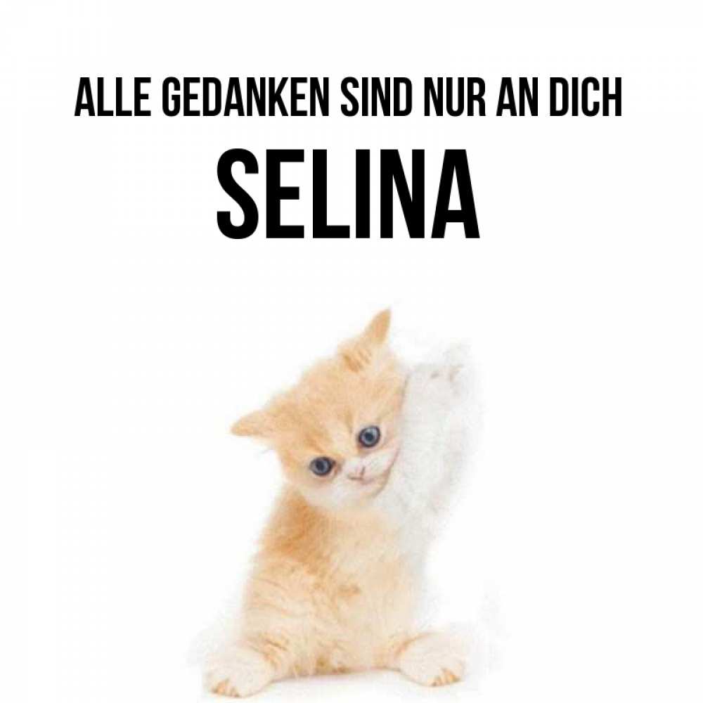Открытка на каждый день с именем, Selina Alle Gedanken sind nur an dich зверушки и милота Прикольная открытка с пожеланием онлайн скачать бесплатно 