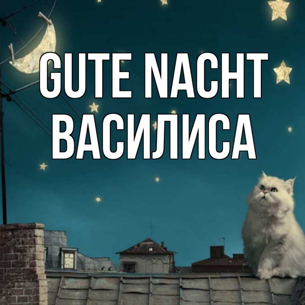 Открытка на каждый день с именем, Василиса Gute Nacht белый кот сидит на крыше Прикольная открытка с пожеланием онлайн скачать бесплатно 
