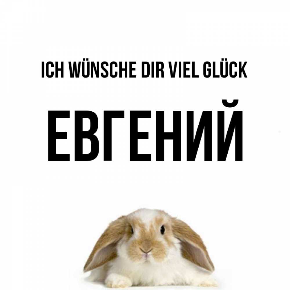 Открытка на каждый день с именем, Евгений Ich wünsche dir viel Glück открытки с произвольным текстом который можно вставить в открытку и создать ее самостоятельно бесплатно онлайн Прикольная открытка с пожеланием онлайн скачать бесплатно 