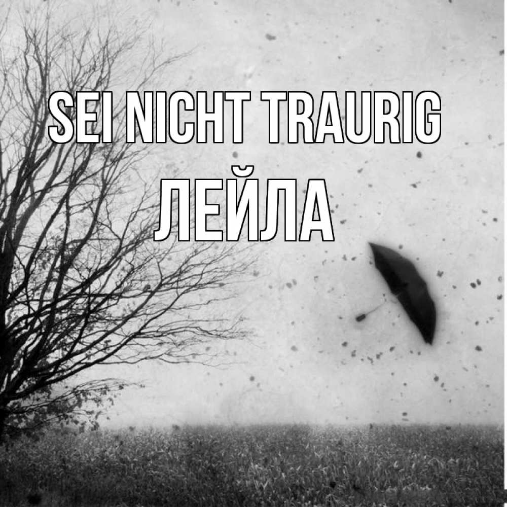 Открытка на каждый день с именем, Лейла Sei nicht traurig летящий зонтик Прикольная открытка с пожеланием онлайн скачать бесплатно 