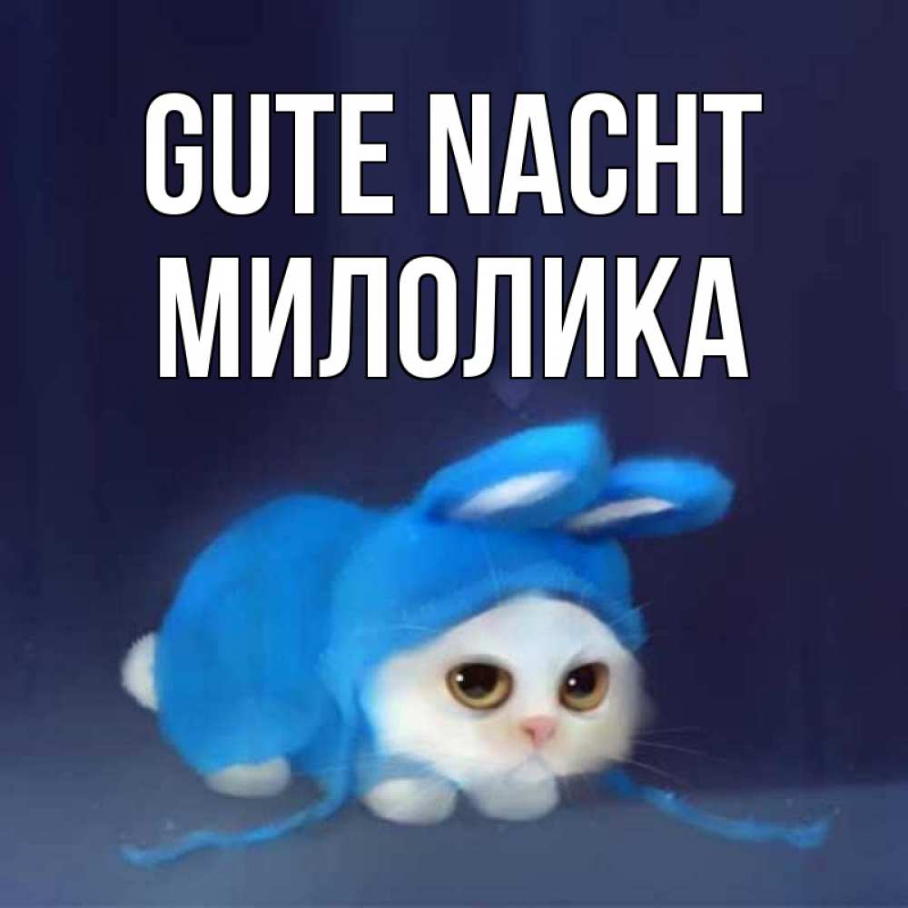 Открытка на каждый день с именем, Милолика Gute Nacht кот в голубом костюме кролика с ушками Прикольная открытка с пожеланием онлайн скачать бесплатно 