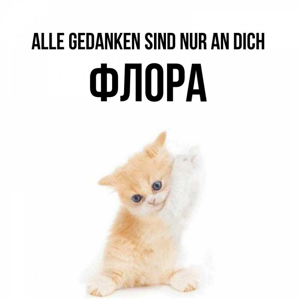 Открытка на каждый день с именем, Флора Alle Gedanken sind nur an dich зверушки и милота Прикольная открытка с пожеланием онлайн скачать бесплатно 