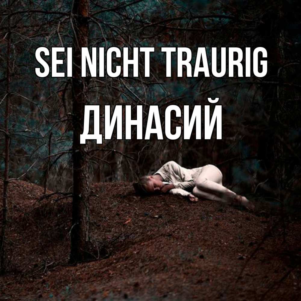 Открытка на каждый день с именем, Динасий Sei nicht traurig лес Прикольная открытка с пожеланием онлайн скачать бесплатно 