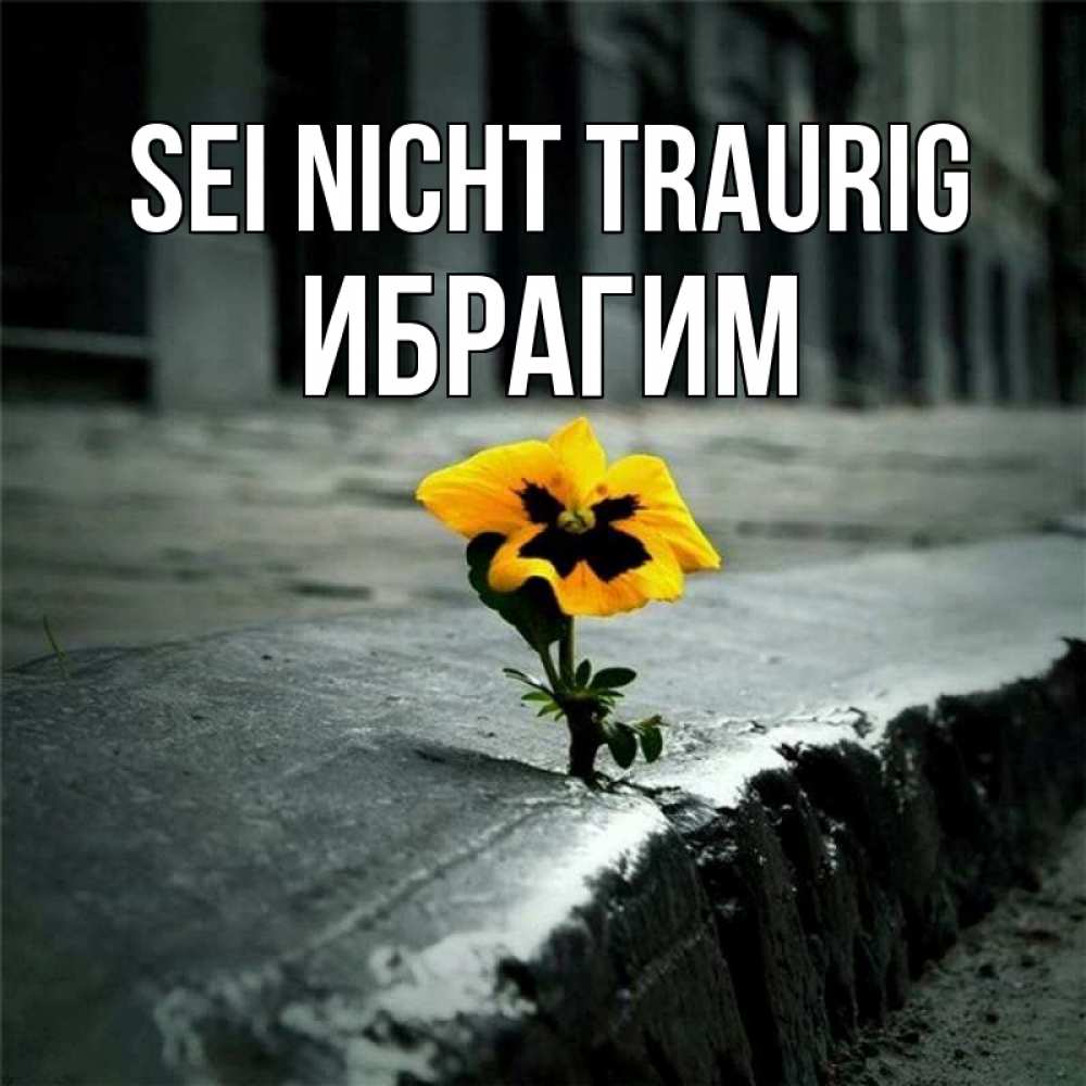 Открытка на каждый день с именем, Ибрагим Sei nicht traurig не сдавайся Прикольная открытка с пожеланием онлайн скачать бесплатно 