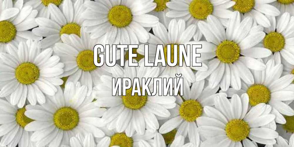 Открытка на каждый день с именем, Ираклий Gute Laune поляна ромашек Прикольная открытка с пожеланием онлайн скачать бесплатно 