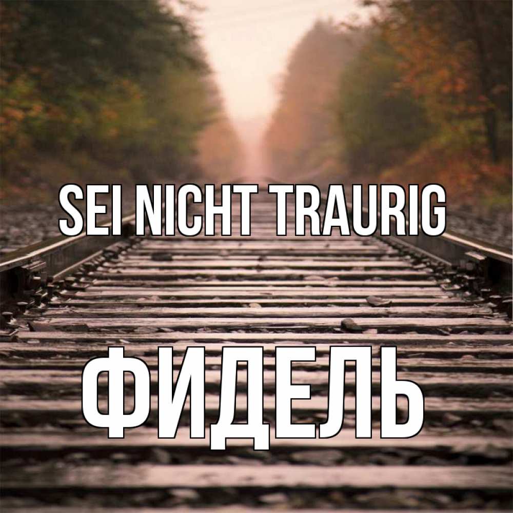 Открытка на каждый день с именем, Фидель Sei nicht traurig лес и железная дорога Прикольная открытка с пожеланием онлайн скачать бесплатно 