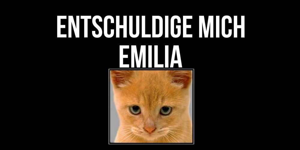 Открытка на каждый день с именем, Emilia Entschuldige mich рыжий грустный кот просит прощения Прикольная открытка с пожеланием онлайн скачать бесплатно 