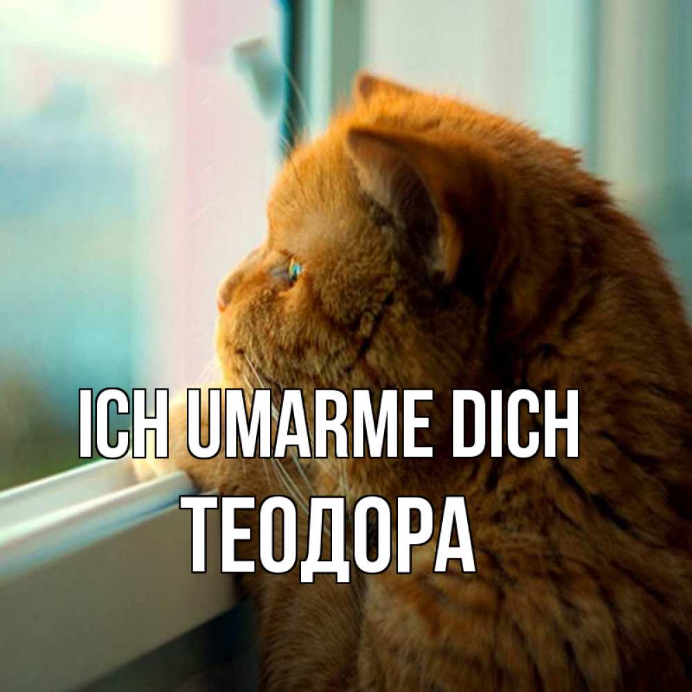 Открытка на каждый день с именем, Теодора Ich umarme dich большой огромный рыжий котяра Прикольная открытка с пожеланием онлайн скачать бесплатно 