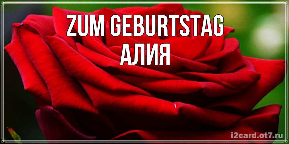 Открытка на каждый день с именем, Алия Zum Geburtstag розочка очень красивая Прикольная открытка с пожеланием онлайн скачать бесплатно 
