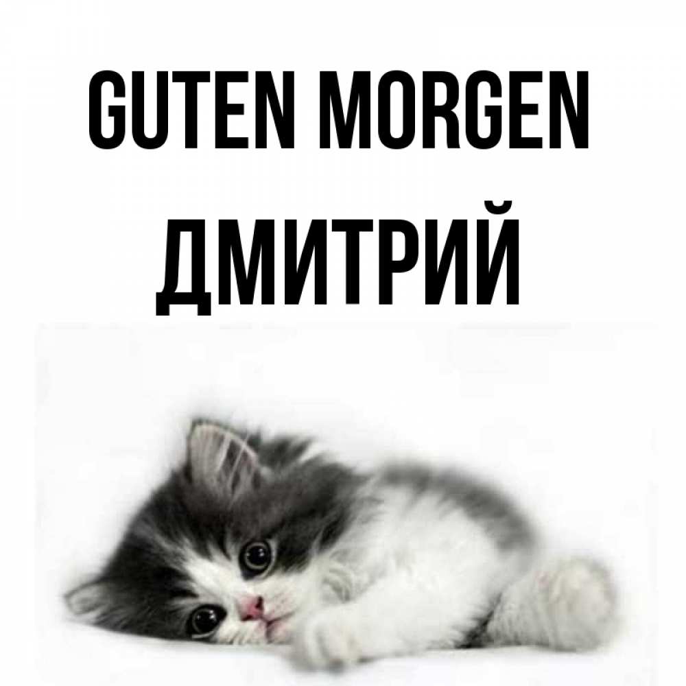 Открытка на каждый день с именем, Дмитрий Guten Morgen кот лапки Прикольная открытка с пожеланием онлайн скачать бесплатно 